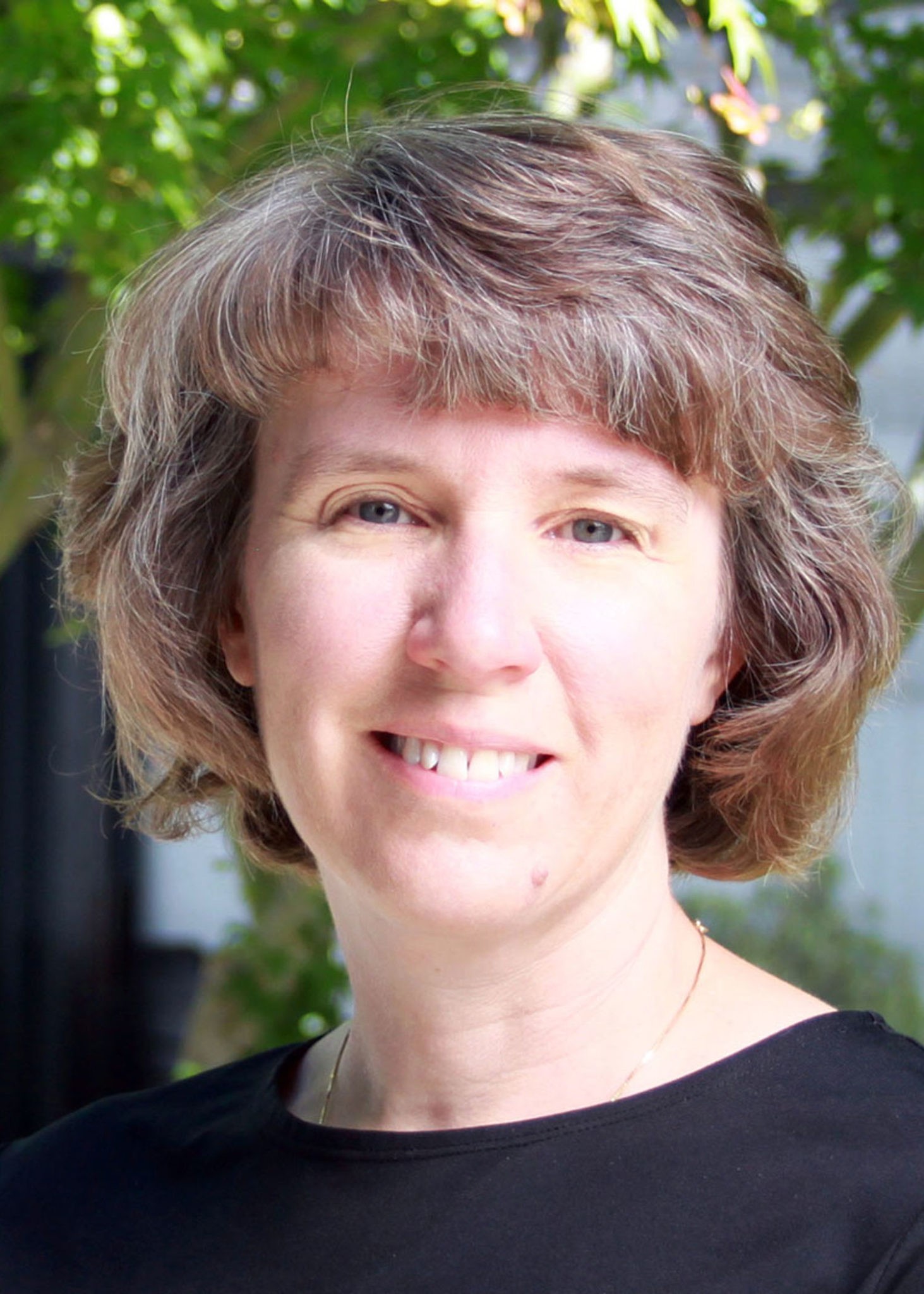Exascale Computing Project ECP Names LLNL s Lori Diachin As New 