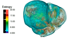 Exastar 3D simulation of core-collapse supernova