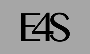 Grey E4S logo