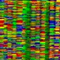 https://www.exascaleproject.org/wp-content/uploads/2024/07/genomics.jpg